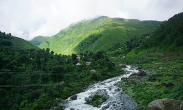 Hiking Day Tour to Triund from Dharamshala
