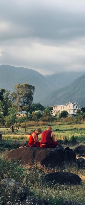 pexels-divyanshu-thapa-52733041-22133549